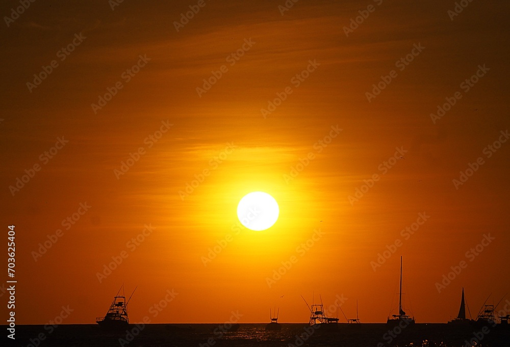 Naklejka premium OLYMPUS DIGITAL CAMERA