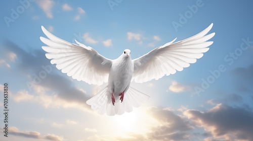 White dove. Freedom and peace concept. Independence.