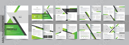 Corporate company profile brochure, minimal business portfolio brochure, annual report, 16 page minimalist flat geometric business brochure design layout
