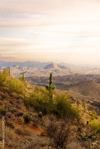 Mountain top Saguaro cactus with view of mountains in the background at golden hour vertical image