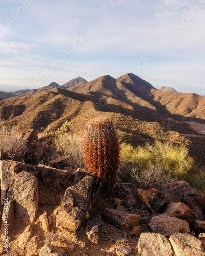 Barrel cactus on top of a mountain with 3 mountain peaks in the background