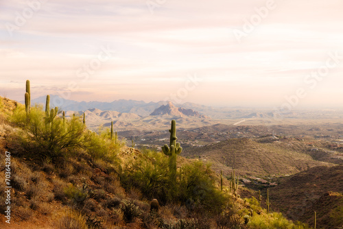 Mountain top Saguaro cactus with view of mountains in the background at golden hour landscape image photo