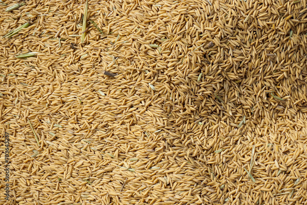 background stack of rice. natural background background stack of rice. natural background