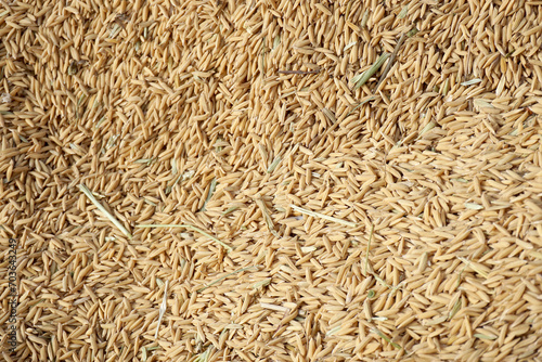 background stack of rice. natural background