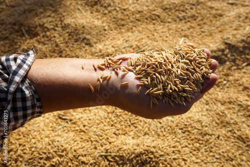 Brown rice on female hands