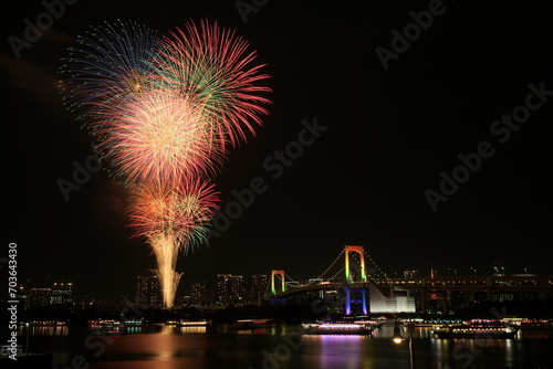Colorful fireworks over the city © Que sera sera