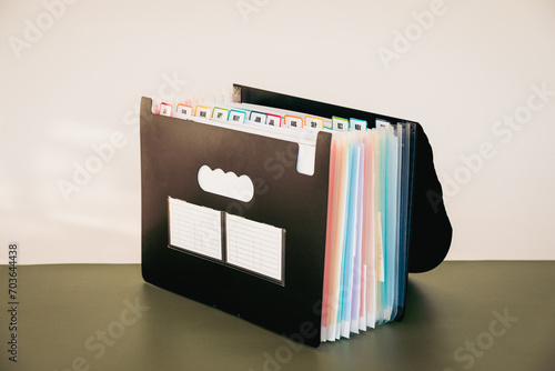 12-Month Accordion File Organizer, Monthly Document Filing System with Color-Coded Tabs for Home Office, Accounting and Tax Filing