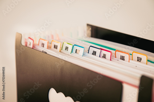 A Closeup of a 12-Month Accordion File Organizer, Monthly Document Filing System with Tabs January to December for Home Office, Accounting, Tax Filing