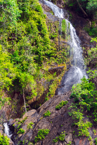 waterfall in the forest