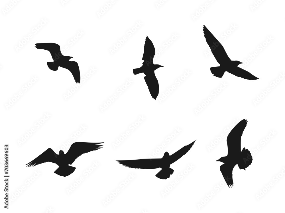 flying seagull silhouettes set. A flock of flying birds. Flight bird