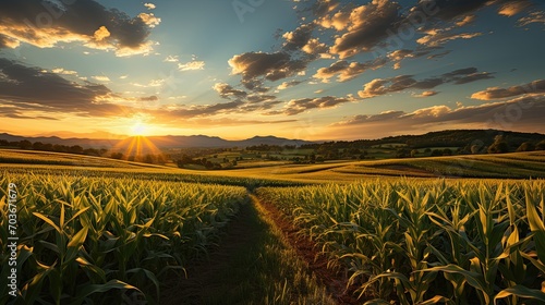 Large corn field, landscape agriculture, sky green field agricultural corn fields, Generative AI