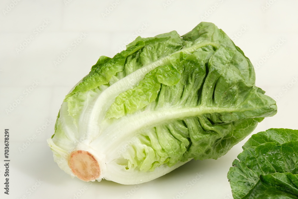 Fresh green Romaine Lettuce (Lactuca sativa), isolated on the white background Fresh green Romaine Lettuce (Lactuca sativa), isolated on the white background