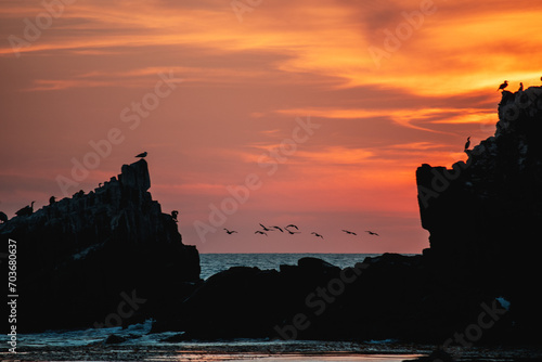 Sunset silhouette coastal rocks and birds