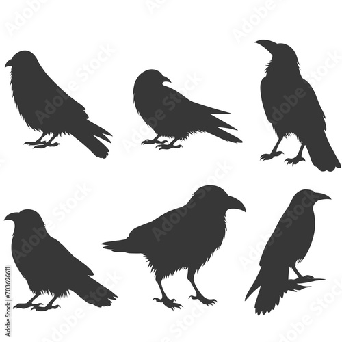 Set of crow silhouette illustration