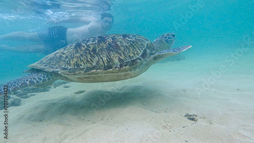 Photography young man with wild turtle in Sri Lanka