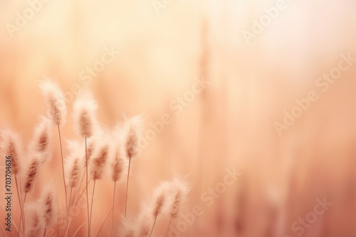 Meadow with wild flowers in the sunny summer day.Soft pastel background 