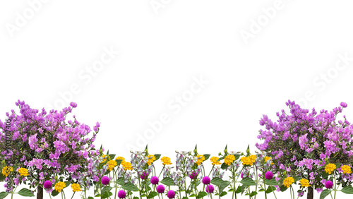 flowers bottom background