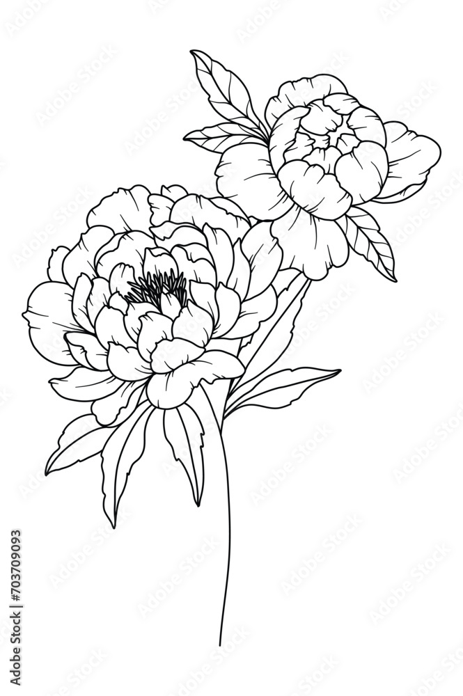 Fototapeta premium Peony Line Drawing. Black and white Floral Bouquets. Flower Coloring Page. Floral Line Art. Fine Line Peony illustration. Hand Drawn flowers. Botanical Coloring. Wedding invitation flowers