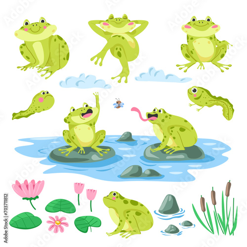 Tadpoles, frogs, flora and fauna illustration set