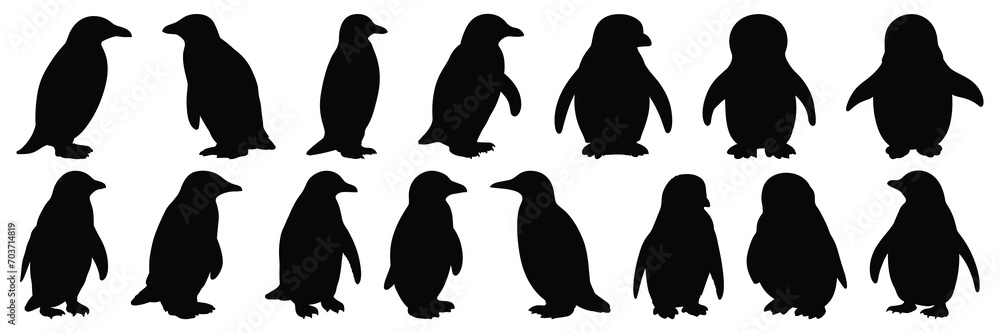 Fototapeta premium Penguin silhouettes set, large pack of vector silhouette design, isolated white background