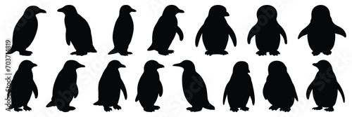 Penguin silhouettes set, large pack of vector silhouette design, isolated white background