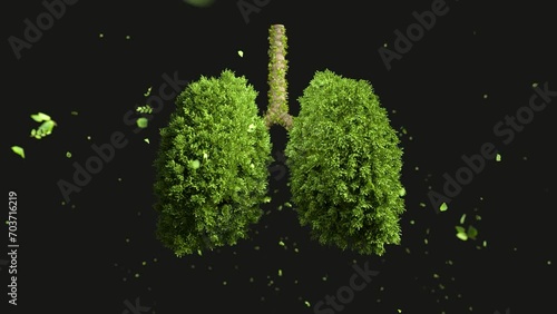 Healthy breathing regularly trees are growing, The tree grows in the form of a human lung photo