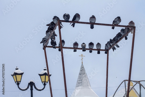 pigeons sitting on an iron structure
