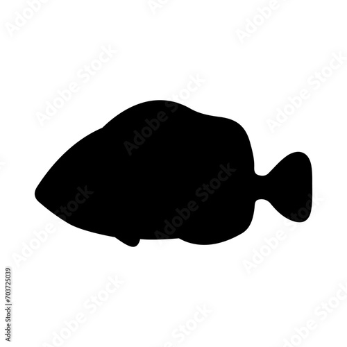 Tropical Fish Silhouette Illustration On Isolated Background