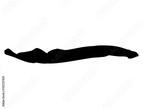 Sea Lamprey silhouette vector art white background