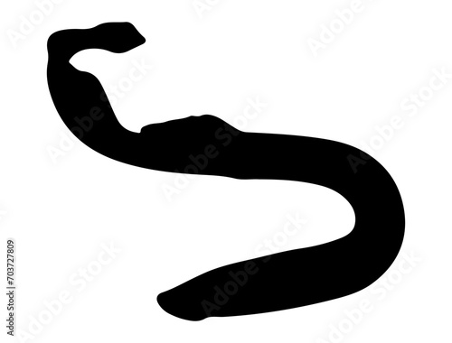 Sea Lamprey silhouette vector art white background