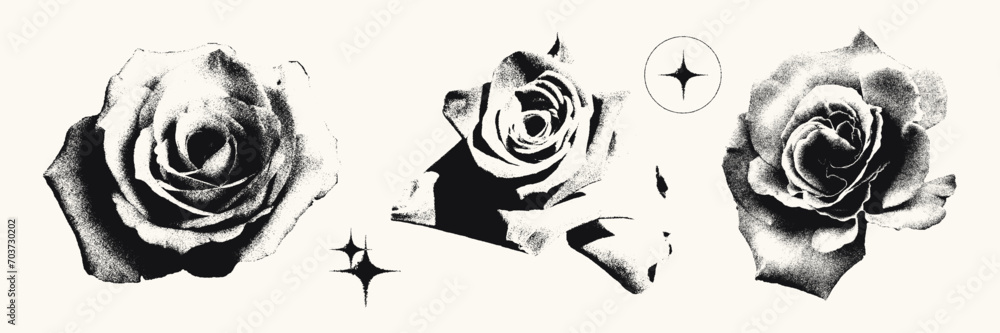 Fototapeta premium Roses photocopy effect elements set. Flower heads with grunge stippling grain messy texture. Trendy y2k aesthetic vector illustration. Ideal for poster design, t shirt, tee print, sweatshirt