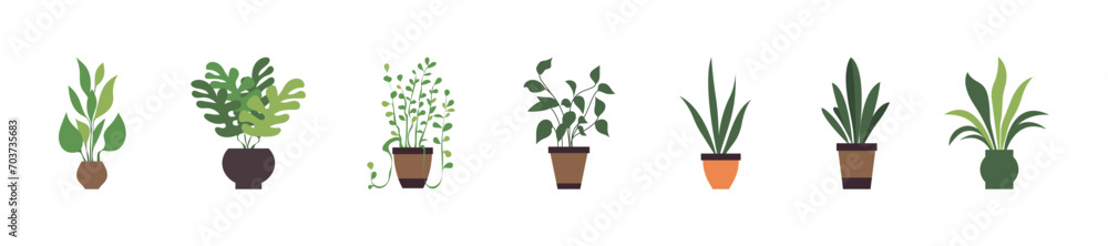 Set collection of houseplants in clay pots for home, office, indoor decoration flat illustration Set collection of houseplants in clay pots for home, office, indoor decoration flat illustration
