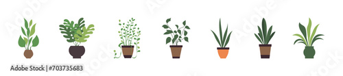 Set collection of houseplants in clay pots for home, office, indoor decoration flat illustration