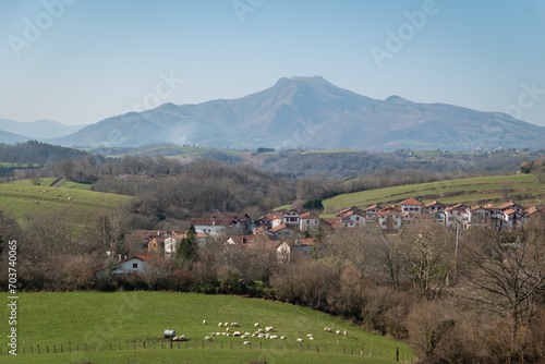 Cidade de Ainhoa no País Basco com rebanhos de ovelhas no pasto e com uma grande montanha ao fundo photo