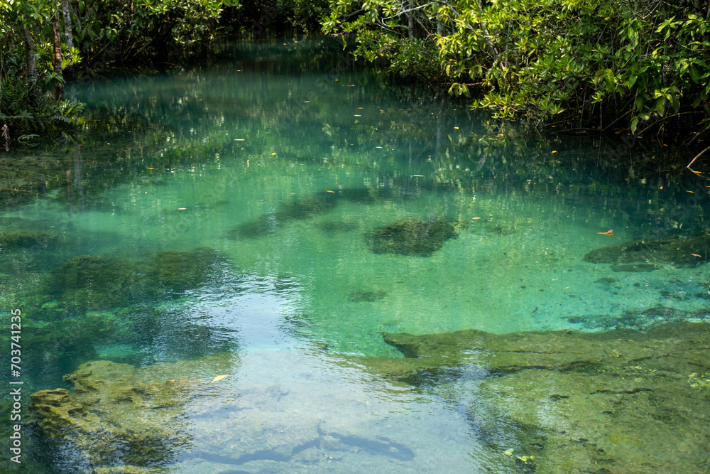 Transparent green and blue stream the tree roots and rocks under the water. Thapom Klong Song Nam in Krabi, Thailand Transparent green and blue stream the tree roots and rocks under the water. Thapom Klong Song Nam in Krabi, Thailand