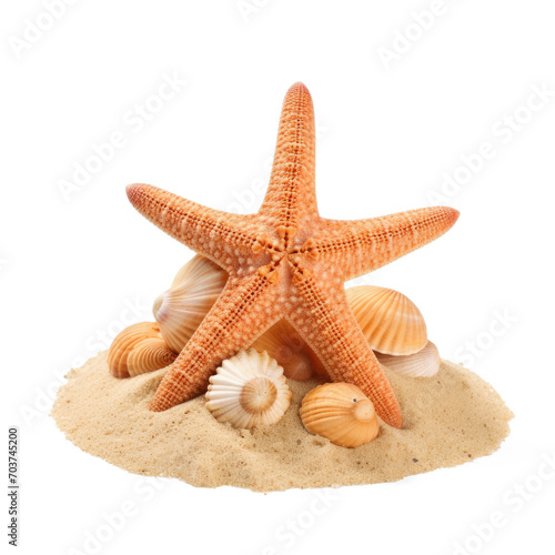 Starfish on sand isolate on transparency background png 