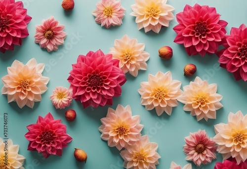 Colorful autumn dahlia flowers on pastel table with copy space for your text top view and flat lay