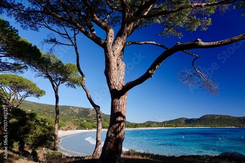 La plage de Palombaggia en hiver, Corse