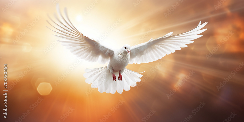  White Peace Dove, Flying in sky 