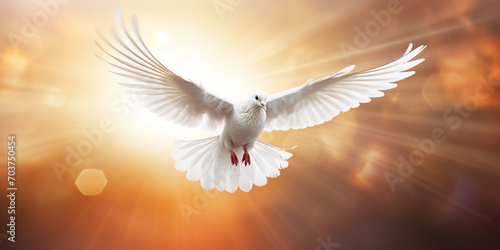  White Peace Dove, Flying in sky 