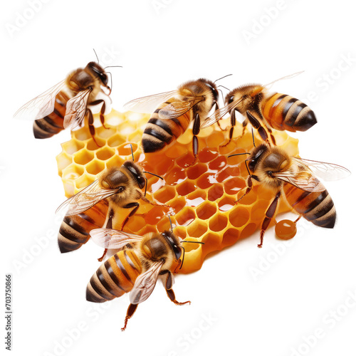 bees and honeycomb, isolated on transparent background cutout © PNG City