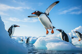 Penguin Leaping from Iceberg into Sea.