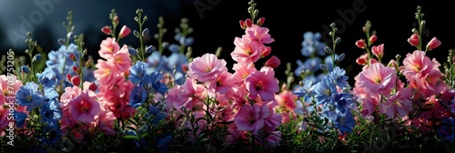 Pink Field Flowers Delphinium, Banner Image For Website, Background, Desktop Wallpaper