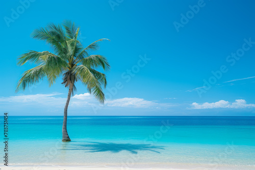 Tropical Palm Tree on a Pristine Beach. © Fukume