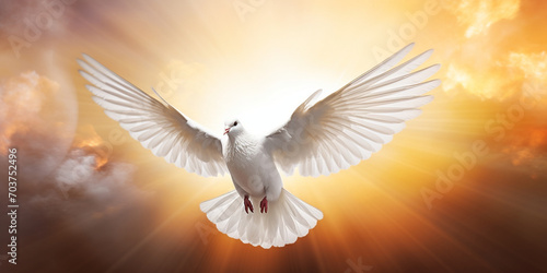 white dove flying in the sky © lucky
