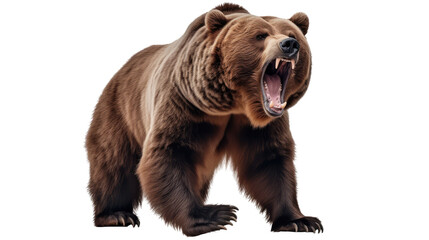  Ferocious brown grizzly bear on a transparent background (PNG)