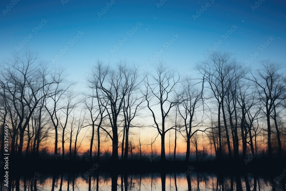 stark winter trees silhouetted against a moonlit lake stark winter trees silhouetted against a moonlit lake