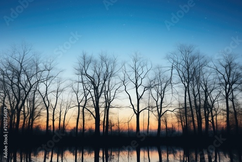 stark winter trees silhouetted against a moonlit lake