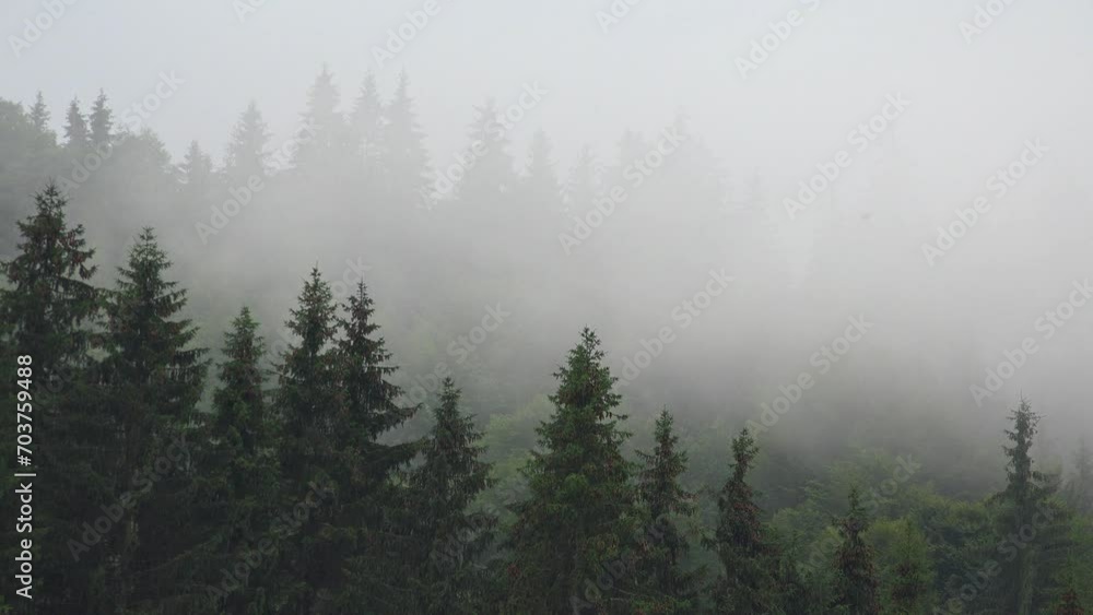 Summer Storm Raining Clouds, Fog in Mountains on Rainy Cloudy Day, Stormy Mist Smoke Mystical Foggy Forest, Alpine Wood Overcast Summer Storm Raining Clouds, Fog in Mountains on Rainy Cloudy Day, Stormy Mist Smoke Mystical Foggy Forest, Alpine Wood Overcast