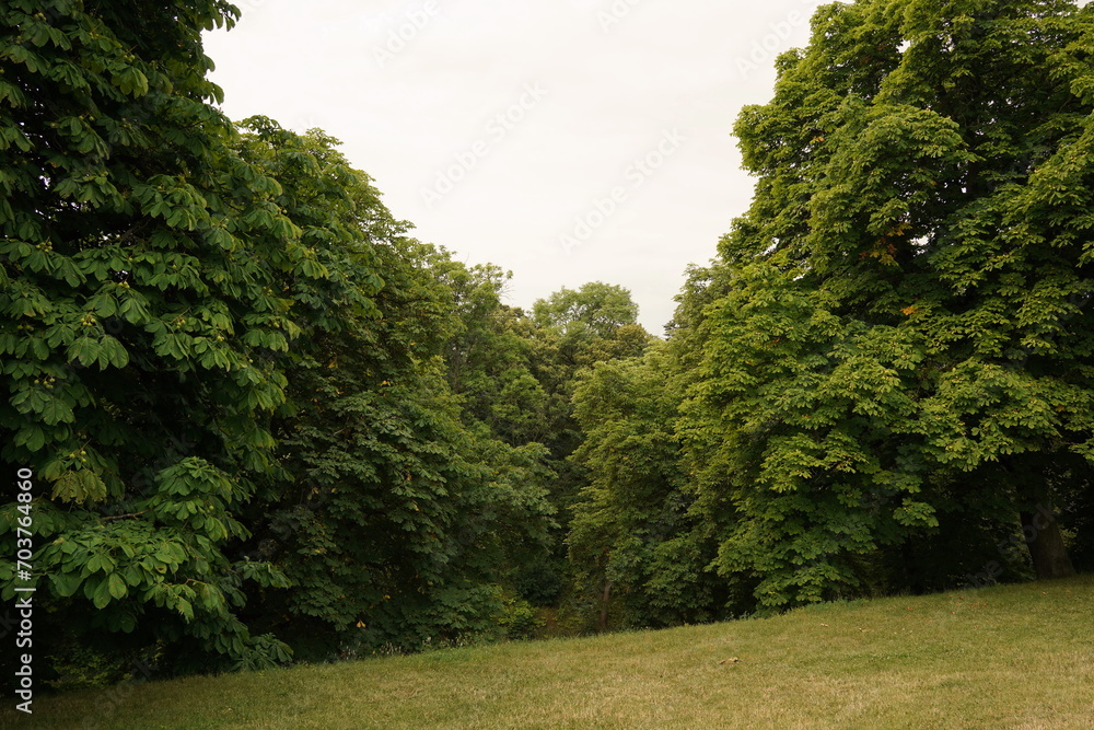 Obraz premium Park at Vyšehradské sady in Prague, Czech Republic